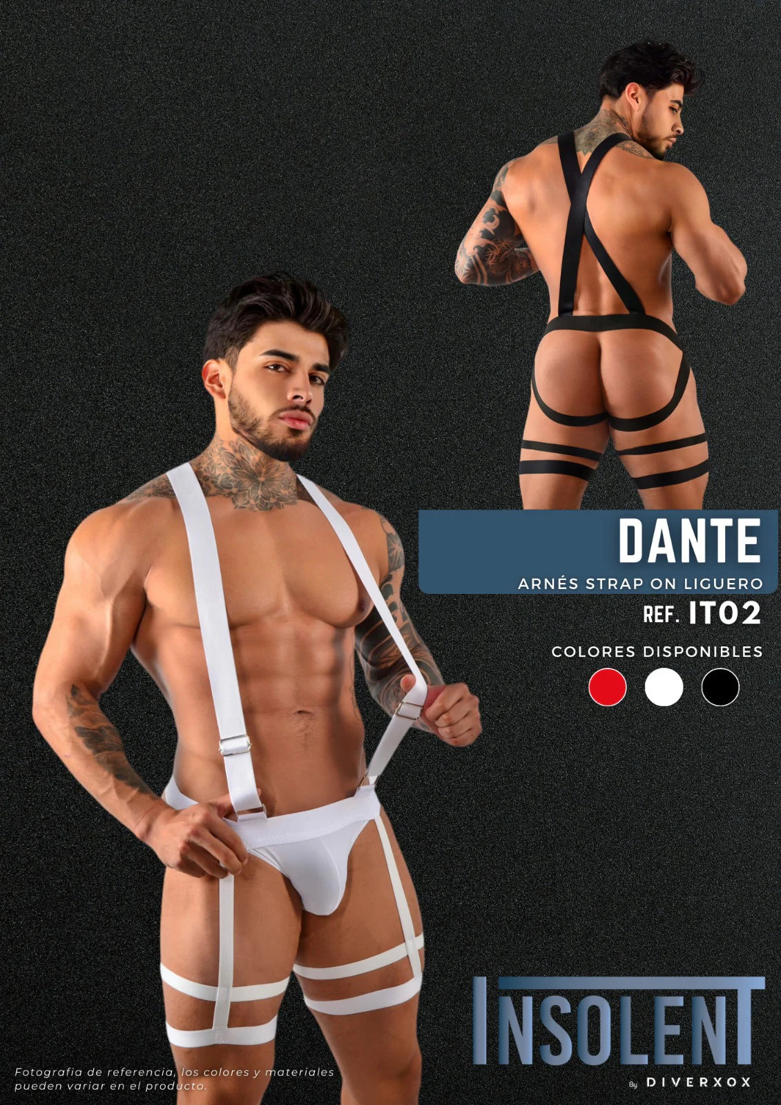 BOXER DANTE