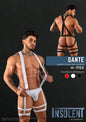 BOXER DANTE
